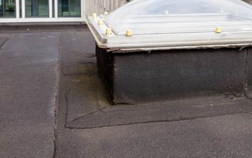 disadvantages of Dunadry flat roofs