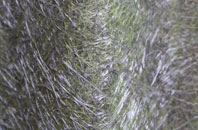 Dunadry fibreglass roof work